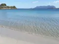 Acque cristalline e sabbia dorata alla plage Pittulongu, con la sagoma di Tavolara in lontananza.