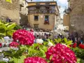 Fiori rosa e bianchi incorniciano una piazza con gente seduta, in attesa di uno spettacolo. Un evento da non perdere, ecco **gavoi cosa vedere**!