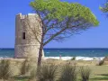 Torre aragonese a San Giovanni di Posada, con pini marittimi e mare in tempesta.