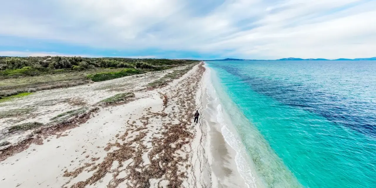 Una persona cammina su una spiaggia di sabbia bianca, con alghe sparse, verso un mare turchese e profondo. Un paesaggio ezzi mannu.