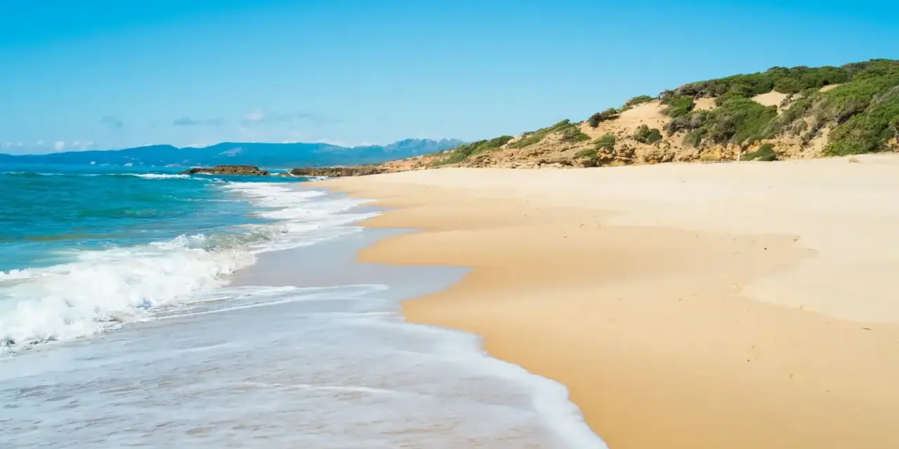 Onda bianca accarezza la sabbia dorata della spiaggia di Scivu, sotto un cielo azzurro intenso.
