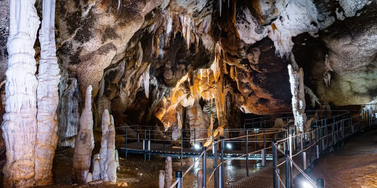 Stupende formazioni calcaree e stalattiti illuminano le grotte Santa Barbara, con passerelle che invitano all'esplorazione di questo mondo sotterraneo.