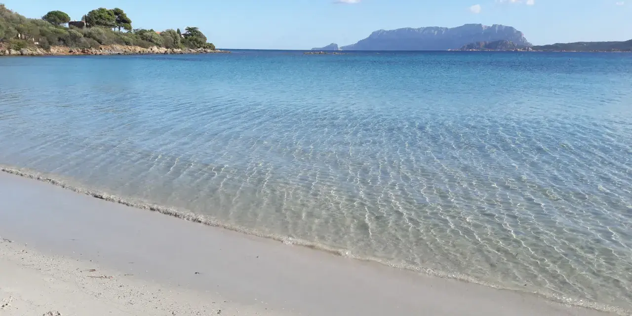 Acque cristalline e sabbia dorata alla plage Pittulongu, con la sagoma di Tavolara in lontananza.