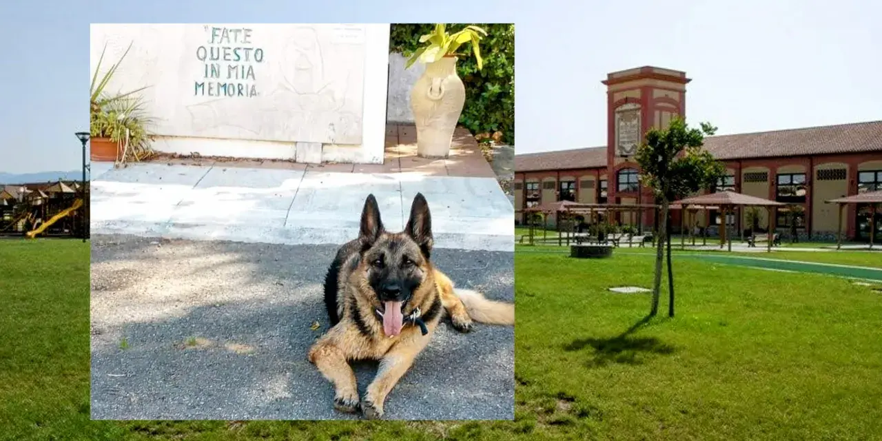Un pastore tedesco riposa davanti a un memoriale con la scritta "FATE QUESTO IN MIA MEMORIA", con un edificio che ricorda l'ex vetreria Pirri sullo sfondo.