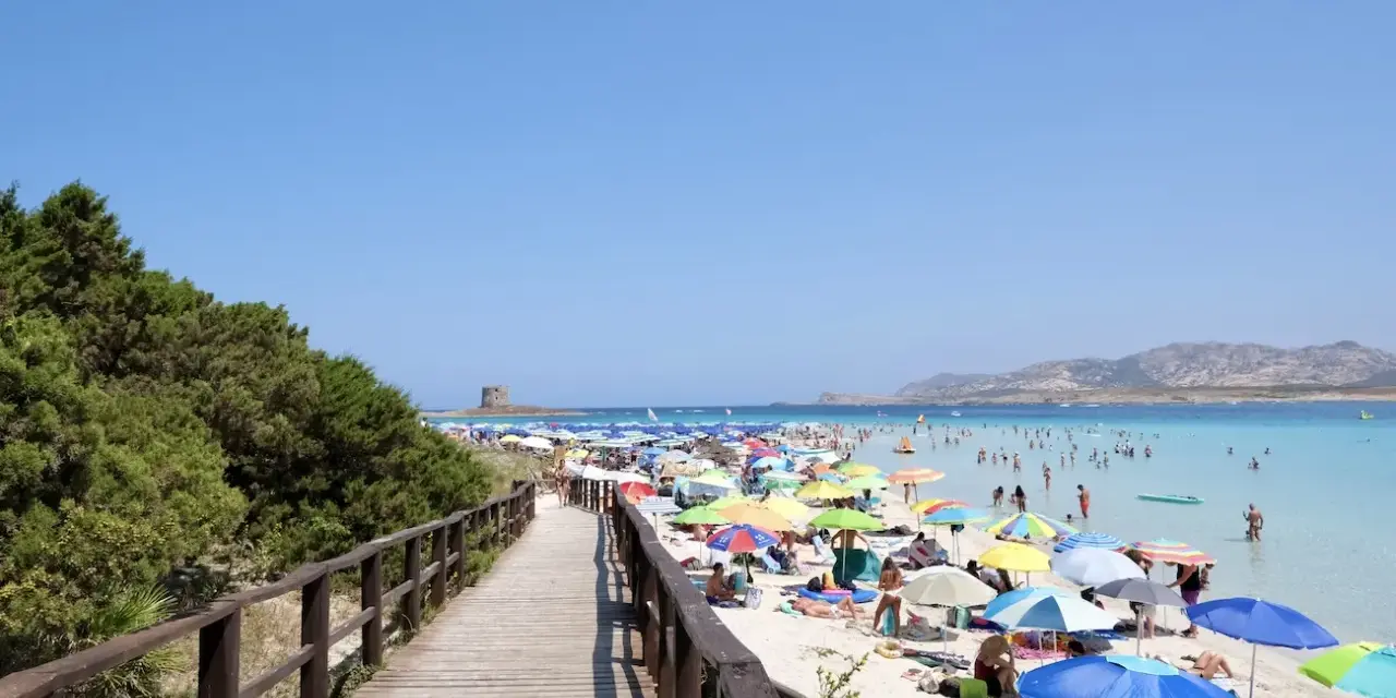 La Pelosa, Stintino: cosa vedere in questo paradiso. Spiaggia affollata, mare turchese, torre aragonese e passerella in legno.
