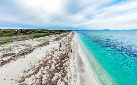 Una persona cammina su una spiaggia di sabbia bianca, con alghe sparse, verso un mare turchese e profondo. Un paesaggio ezzi mannu.