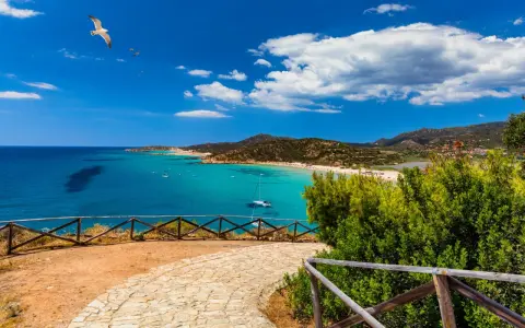 Spiaggia da sogno in Sardegna sud, cosa vedere: mare turchese, sabbia bianca, colline verdi e un gabbiano in volo.