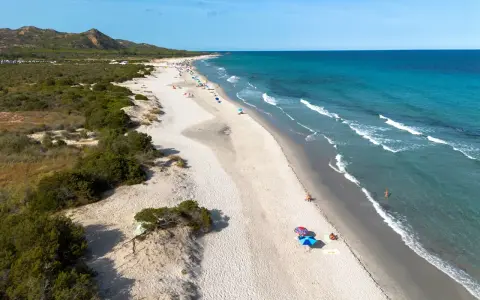 L'oasi di Bidderosa, una spiaggia sarda con sabbia chiara, vegetazione mediterranea e mare turchese, accoglie bagnanti sotto ombrelloni colorati.