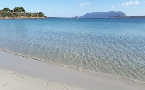 Acque cristalline e sabbia dorata alla plage Pittulongu, con la sagoma di Tavolara in lontananza.