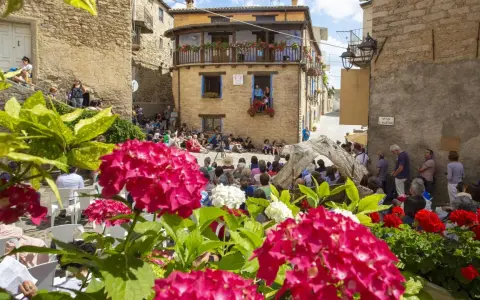 Fiori rosa e bianchi incorniciano una piazza con gente seduta, in attesa di uno spettacolo. Un evento da non perdere, ecco **gavoi cosa vedere**!