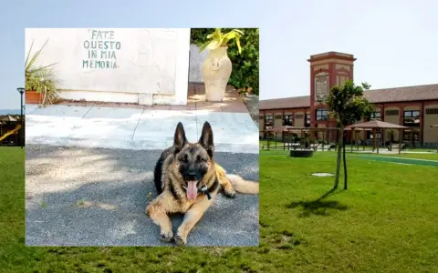 Un pastore tedesco riposa davanti a un memoriale con la scritta "FATE QUESTO IN MIA MEMORIA", con un edificio che ricorda l'ex vetreria Pirri sullo sfondo.