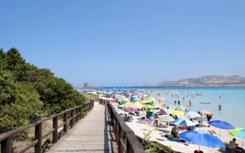 La Pelosa, Stintino: cosa vedere in questo paradiso. Spiaggia affollata, mare turchese, torre aragonese e passerella in legno.