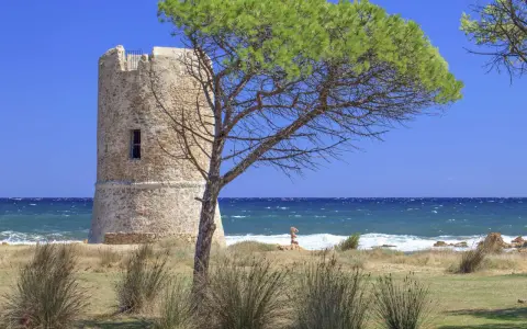 Torre aragonese a San Giovanni di Posada, con pini marittimi e mare in tempesta.