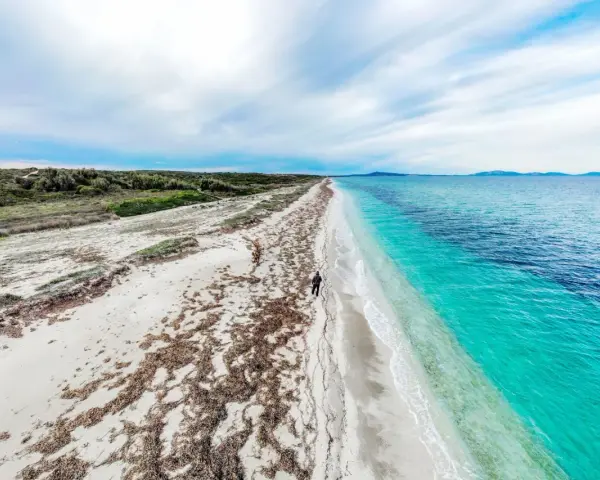 Una persona cammina su una spiaggia di sabbia bianca, con alghe sparse, verso un mare turchese e profondo. Un paesaggio ezzi mannu.