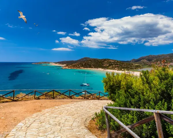 Spiaggia da sogno in Sardegna sud, cosa vedere: mare turchese, sabbia bianca, colline verdi e un gabbiano in volo.