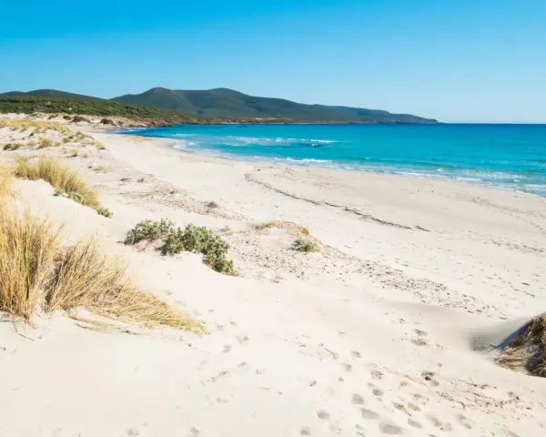 Spiaggia di Porto Pino con dune sabbiose e mare turchese sotto un cielo azzurro.