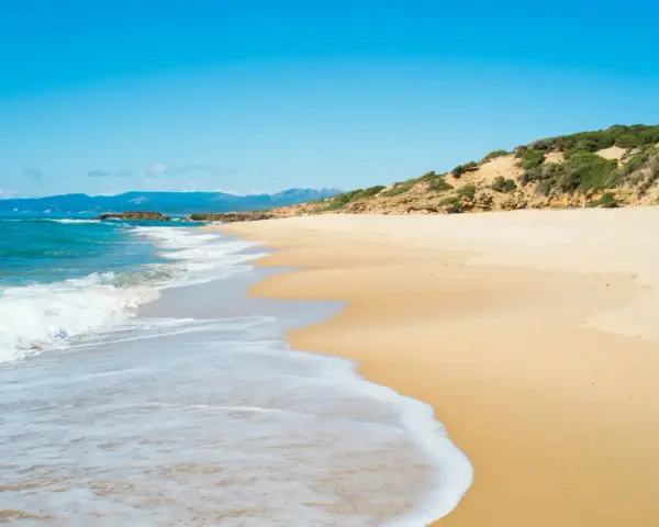 Onda bianca accarezza la sabbia dorata della spiaggia di Scivu, sotto un cielo azzurro intenso.