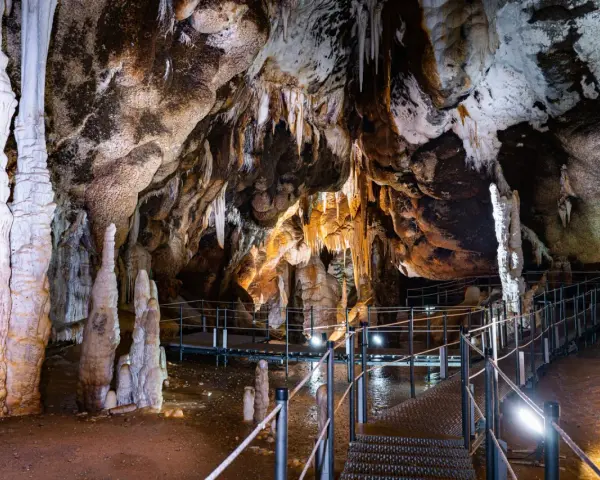 Stupende formazioni calcaree e stalattiti illuminano le grotte Santa Barbara, con passerelle che invitano all'esplorazione di questo mondo sotterraneo.