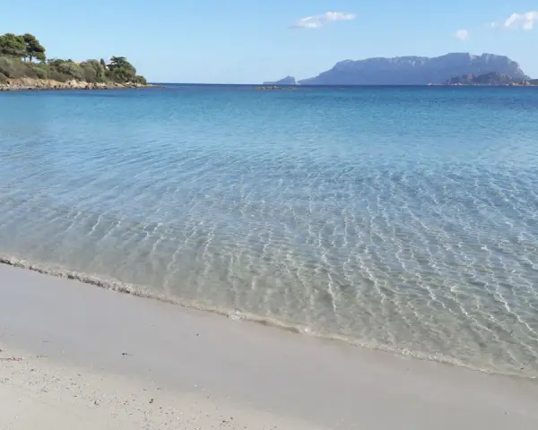 Acque cristalline e sabbia dorata alla plage Pittulongu, con la sagoma di Tavolara in lontananza.