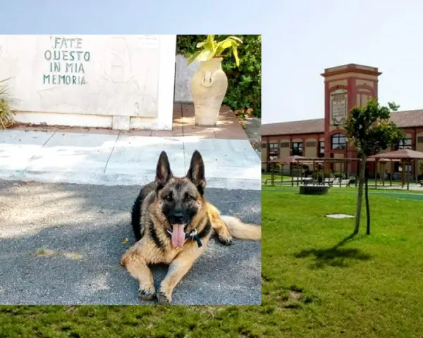 Un pastore tedesco riposa davanti a un memoriale con la scritta "FATE QUESTO IN MIA MEMORIA", con un edificio che ricorda l'ex vetreria Pirri sullo sfondo.