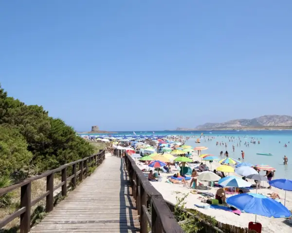 La Pelosa, Stintino: cosa vedere in questo paradiso. Spiaggia affollata, mare turchese, torre aragonese e passerella in legno.