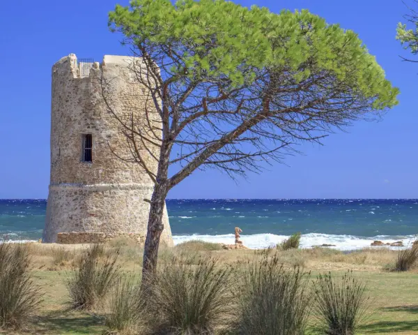 Torre aragonese a San Giovanni di Posada, con pini marittimi e mare in tempesta.