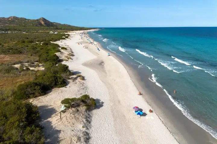 L'oasi di Bidderosa, una spiaggia sarda con sabbia chiara, vegetazione mediterranea e mare turchese, accoglie bagnanti sotto ombrelloni colorati.