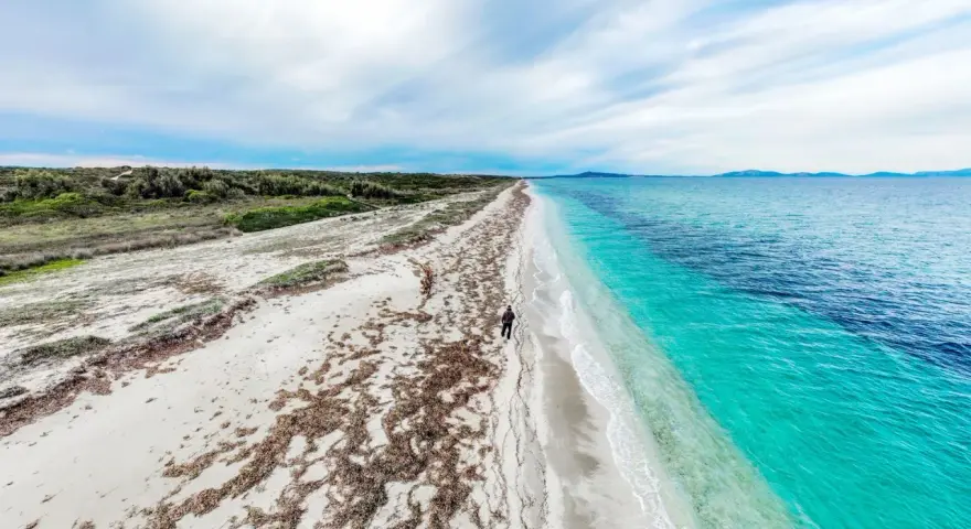 Una persona cammina su una spiaggia di sabbia bianca, con alghe sparse, verso un mare turchese e profondo. Un paesaggio ezzi mannu.