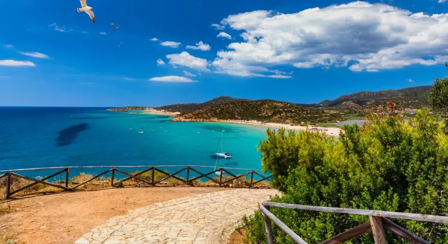 Spiaggia da sogno in Sardegna sud, cosa vedere: mare turchese, sabbia bianca, colline verdi e un gabbiano in volo.