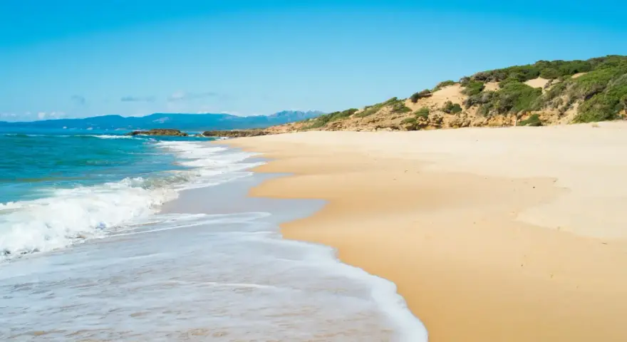 Onda bianca accarezza la sabbia dorata della spiaggia di Scivu, sotto un cielo azzurro intenso.