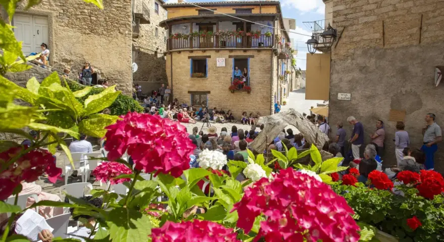 Fiori rosa e bianchi incorniciano una piazza con gente seduta, in attesa di uno spettacolo. Un evento da non perdere, ecco **gavoi cosa vedere**!