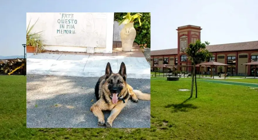 Un pastore tedesco riposa davanti a un memoriale con la scritta "FATE QUESTO IN MIA MEMORIA", con un edificio che ricorda l'ex vetreria Pirri sullo sfondo.