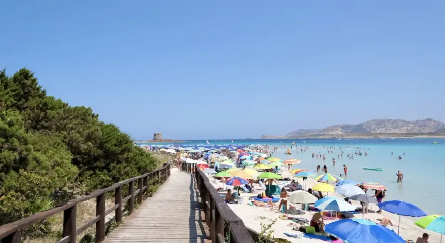 La Pelosa, Stintino: cosa vedere in questo paradiso. Spiaggia affollata, mare turchese, torre aragonese e passerella in legno.