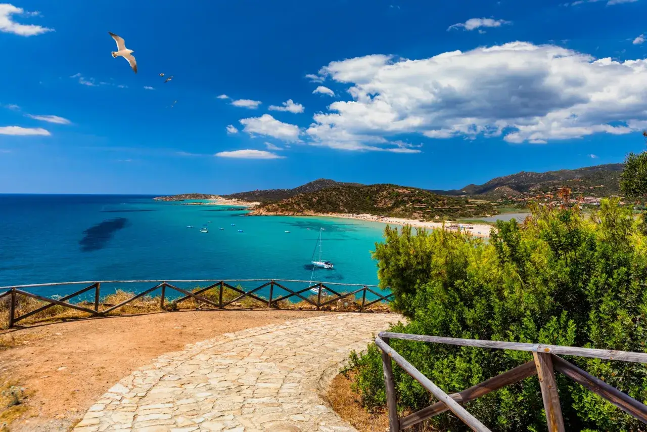 Spiaggia da sogno in Sardegna sud, cosa vedere: mare turchese, sabbia bianca, colline verdi e un gabbiano in volo.