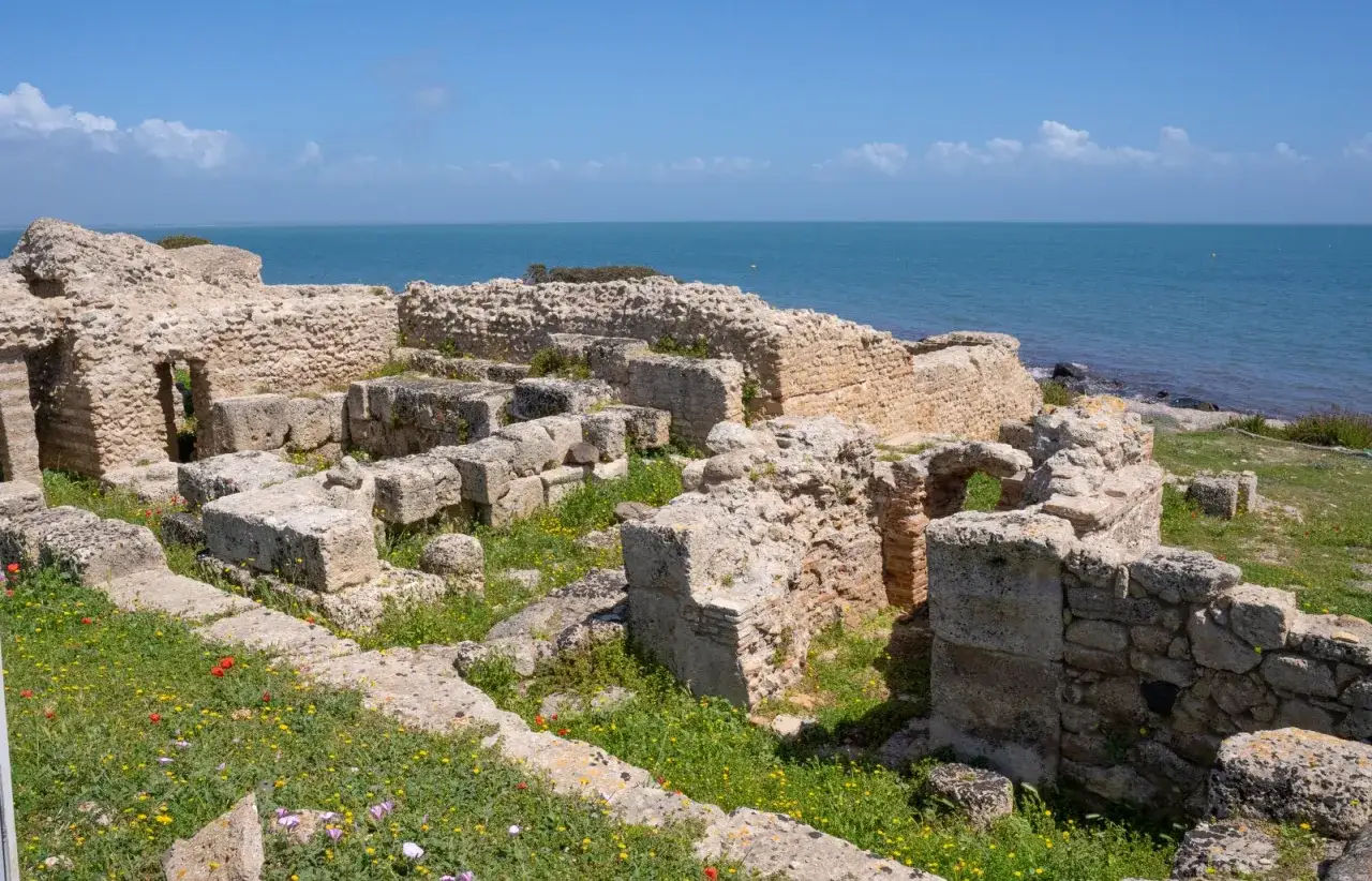 Rovine antiche dei Tarros in Sardegna, con il mare blu sullo sfondo e fiori selvatici che crescono tra le pietre.