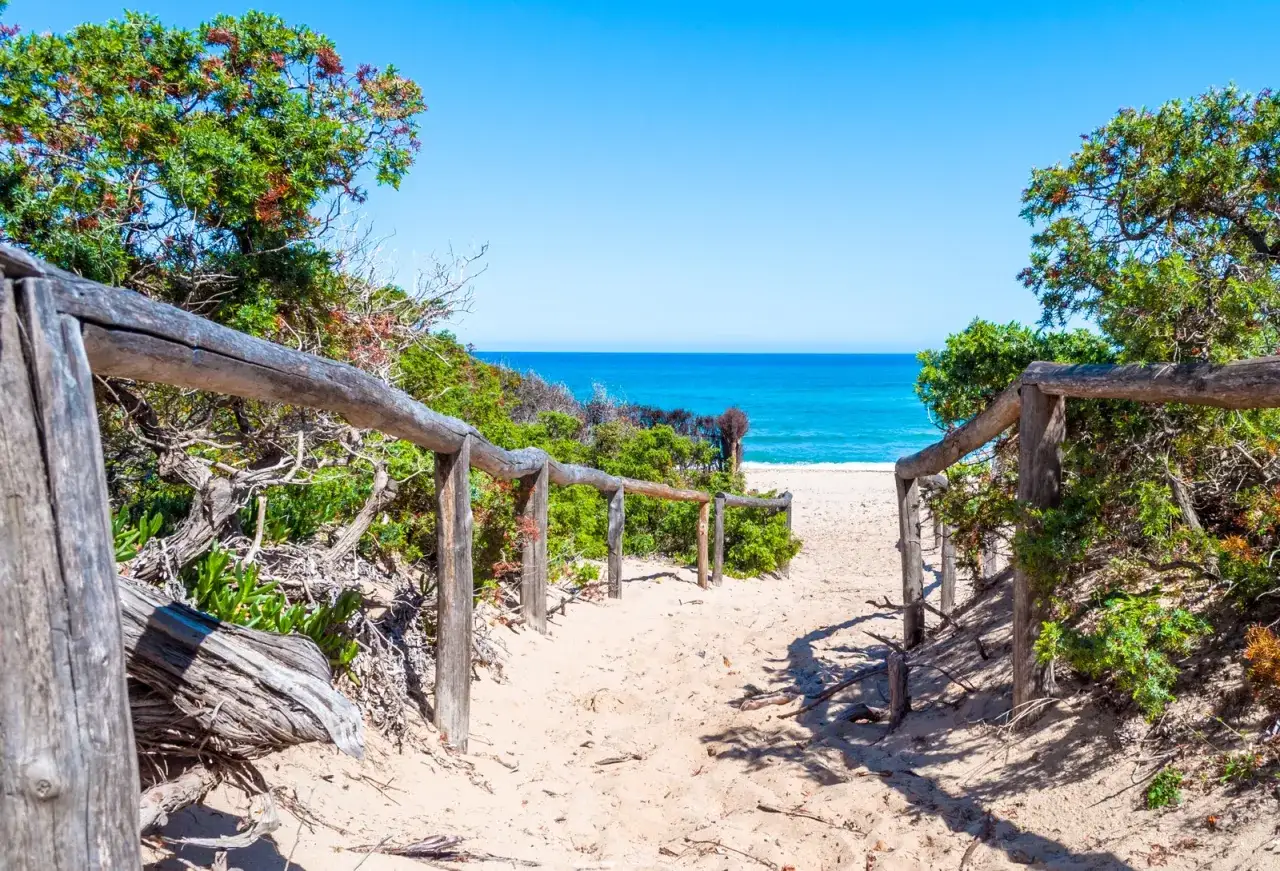 Sentiero sabbioso tra la vegetazione conduce alla spiaggia di Badesi. Cosa vedere: mare cristallino e natura incontaminata.