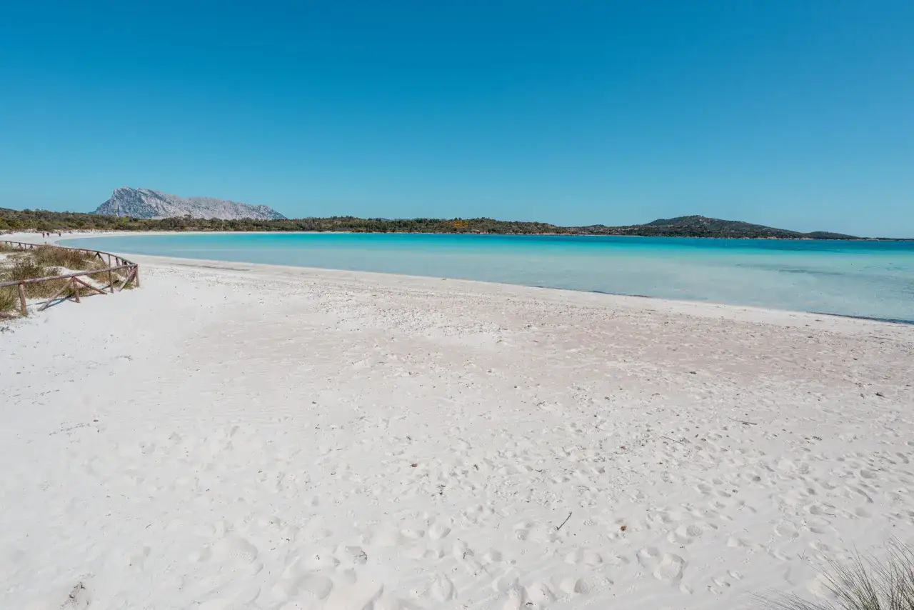 Spiaggia di Cala Brandinchi, Sardegna. Sabbia bianca finissima, acque cristalline turchesi e sullo sfondo il profilo montuoso di Tavolara. Un vero paradiso terrestre.