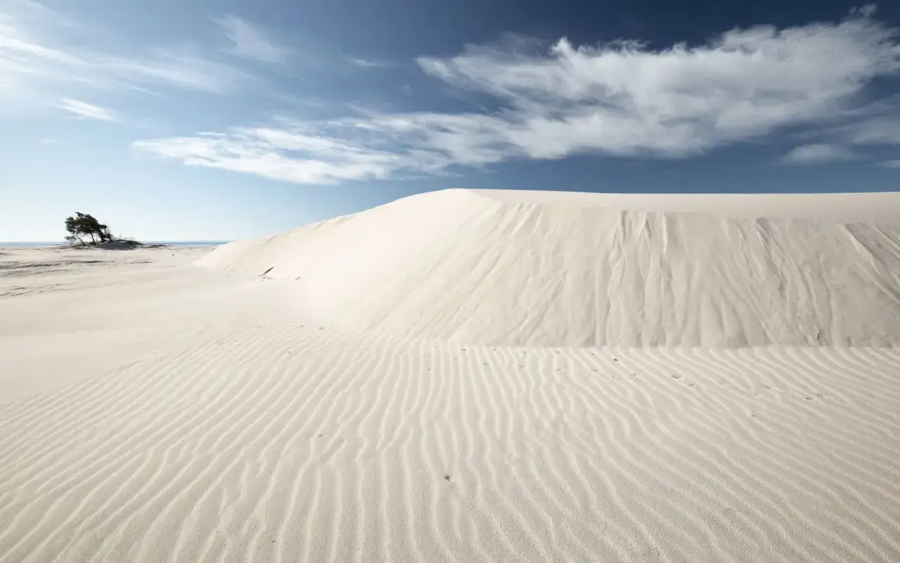 Dune di sabbia bianca modellate dal vento, con un pino solitario e il mare sullo sfondo. Un paesaggio suggestivo nella spiaggia di Porto Pino.