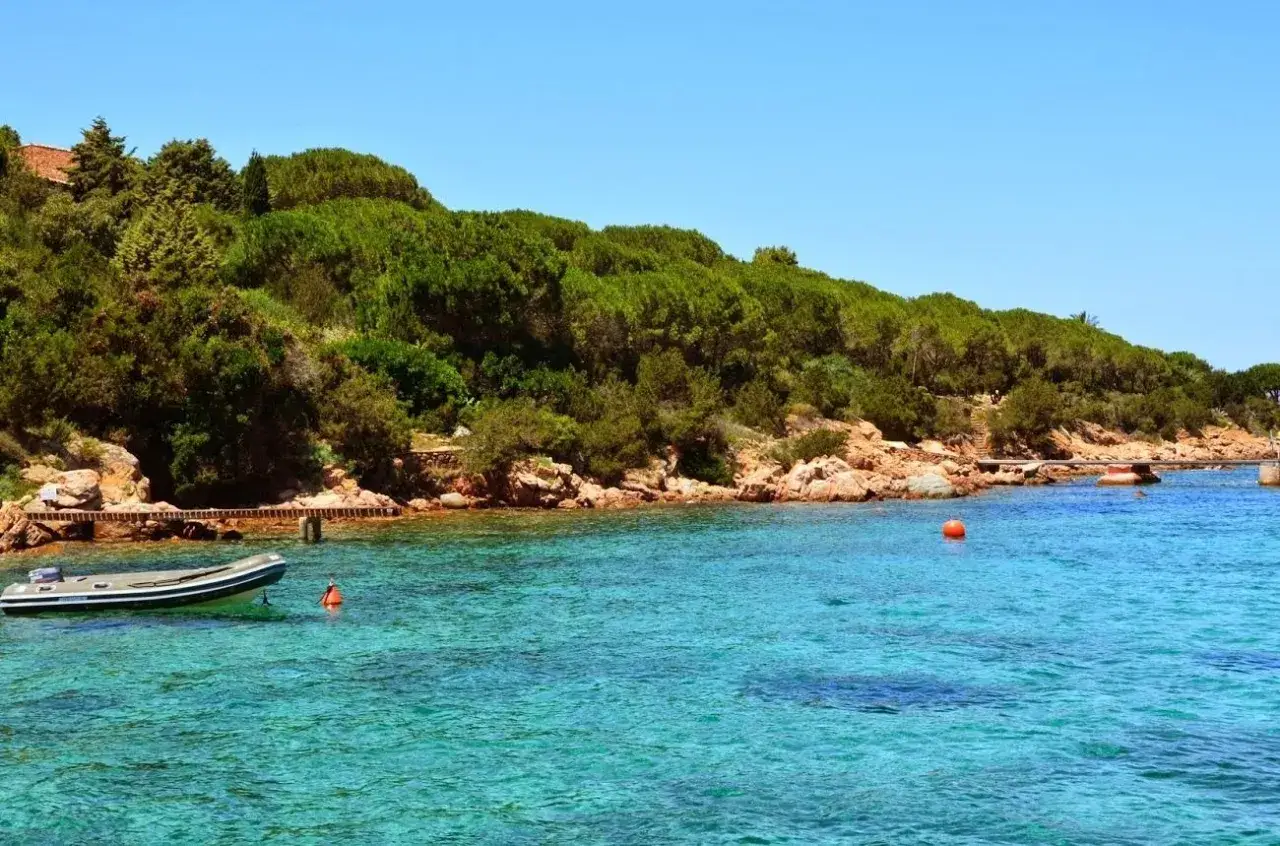 Acque cristalline e vegetazione rigogliosa: ecco come arrivare a Cala Suaraccia, un angolo di paradiso.