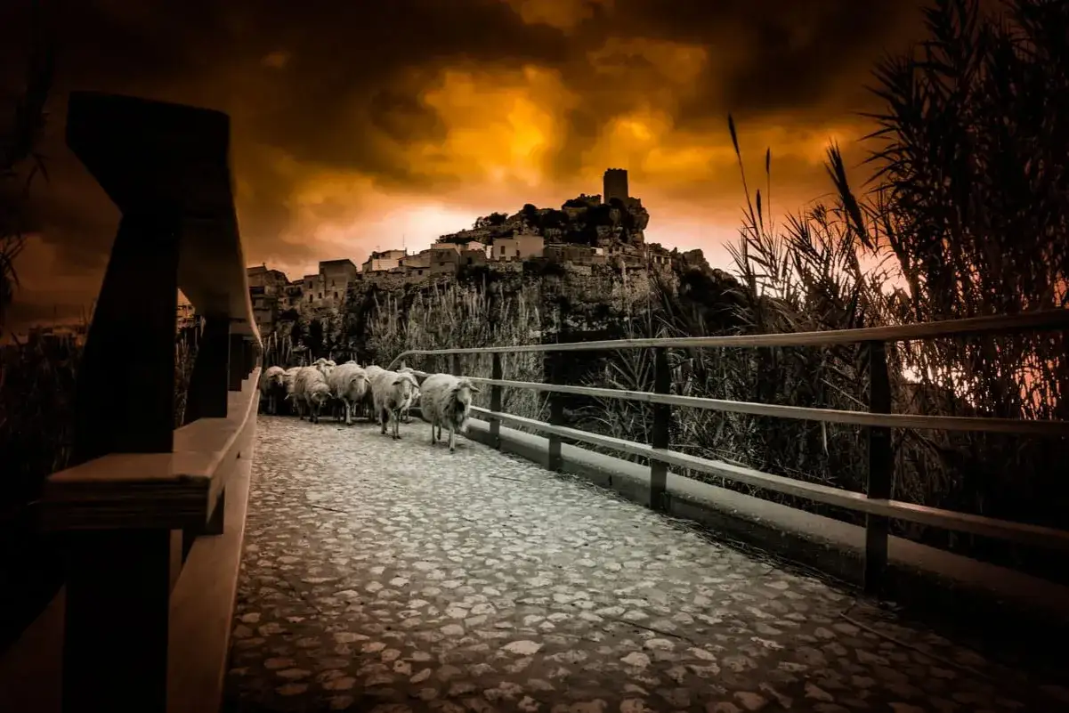 Un gregge di pecore attraversa un ponte lastricato verso una posada di sera, con un castello in lontananza sotto un cielo drammatico.