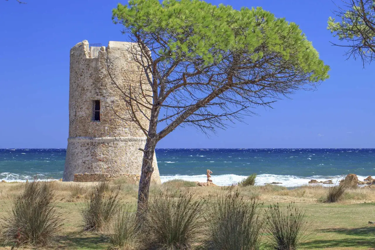 Torre aragonese a San Giovanni di Posada, con pini marittimi e mare agitato.