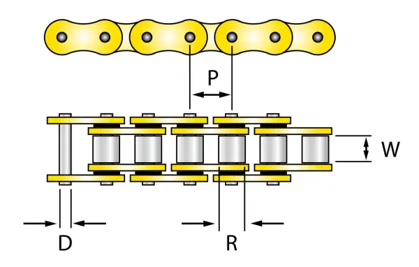 Schema delle misure catena moto: passo (P), larghezza (W), diametro perno (D) e rullino (R).