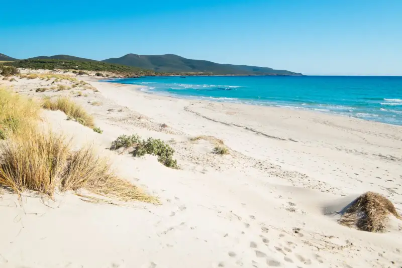Spiaggia di Porto Pino con dune sabbiose e mare turchese sotto un cielo azzurro.